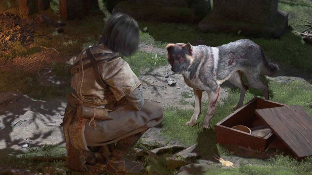 Assassin’s Creed Shadows Thrown to the Dogs quest walkthrough
