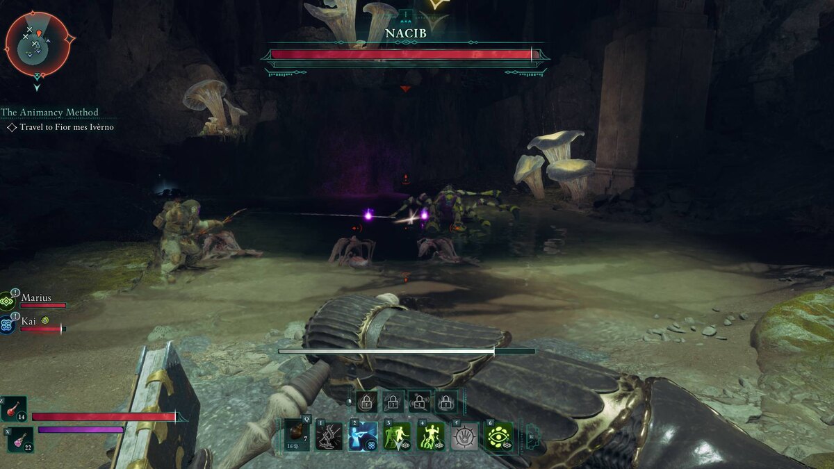 Where to find the Nacib bounty in Avowed