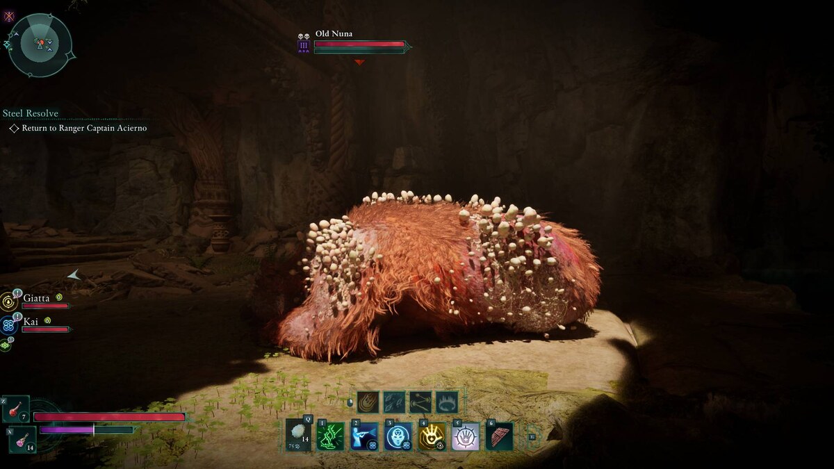 Where to find the Old Nuna bounty in Avowed