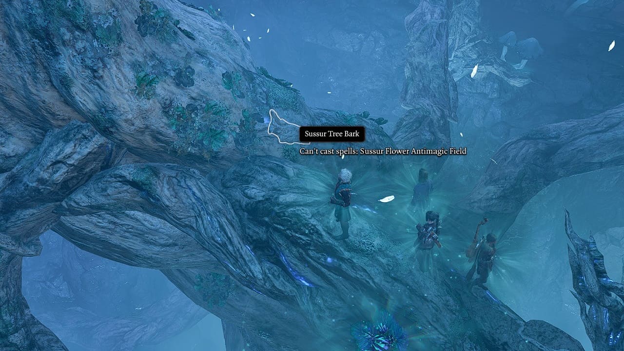Baldur's Gate 3 how to get Sussur Tree Bark and Finish the Masterwork Weapon (BG3)