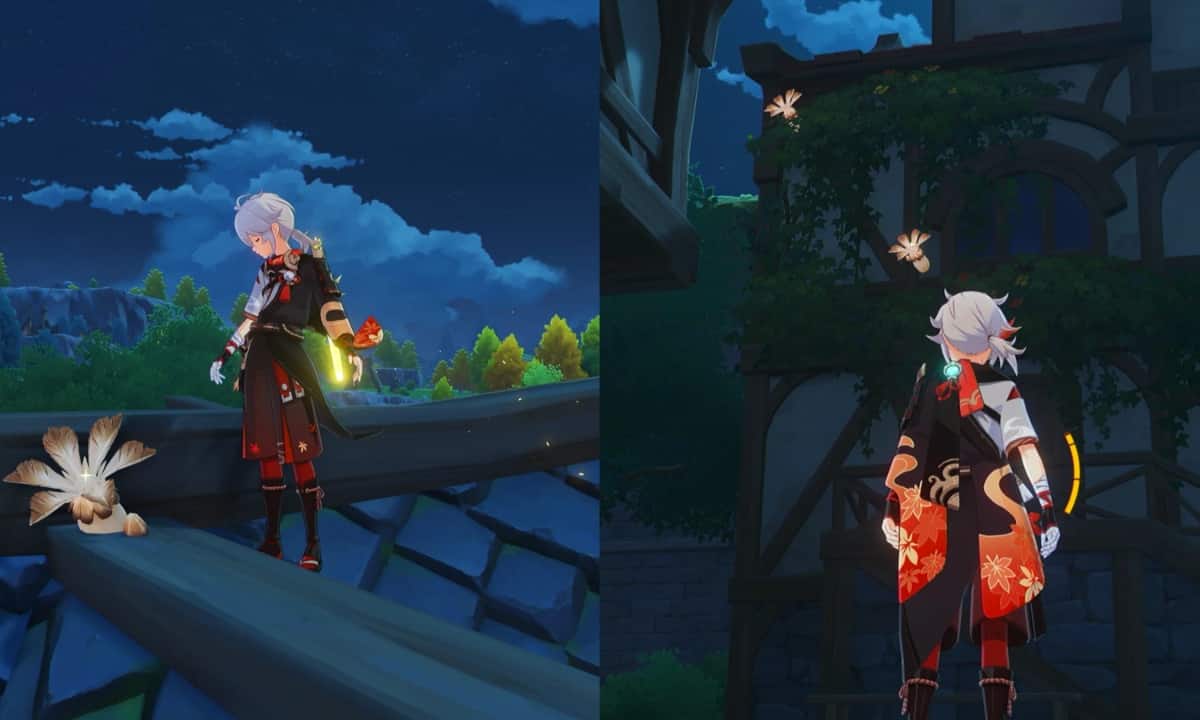 Genshin Impact - Philanemo Mushroom locations and the best farming route