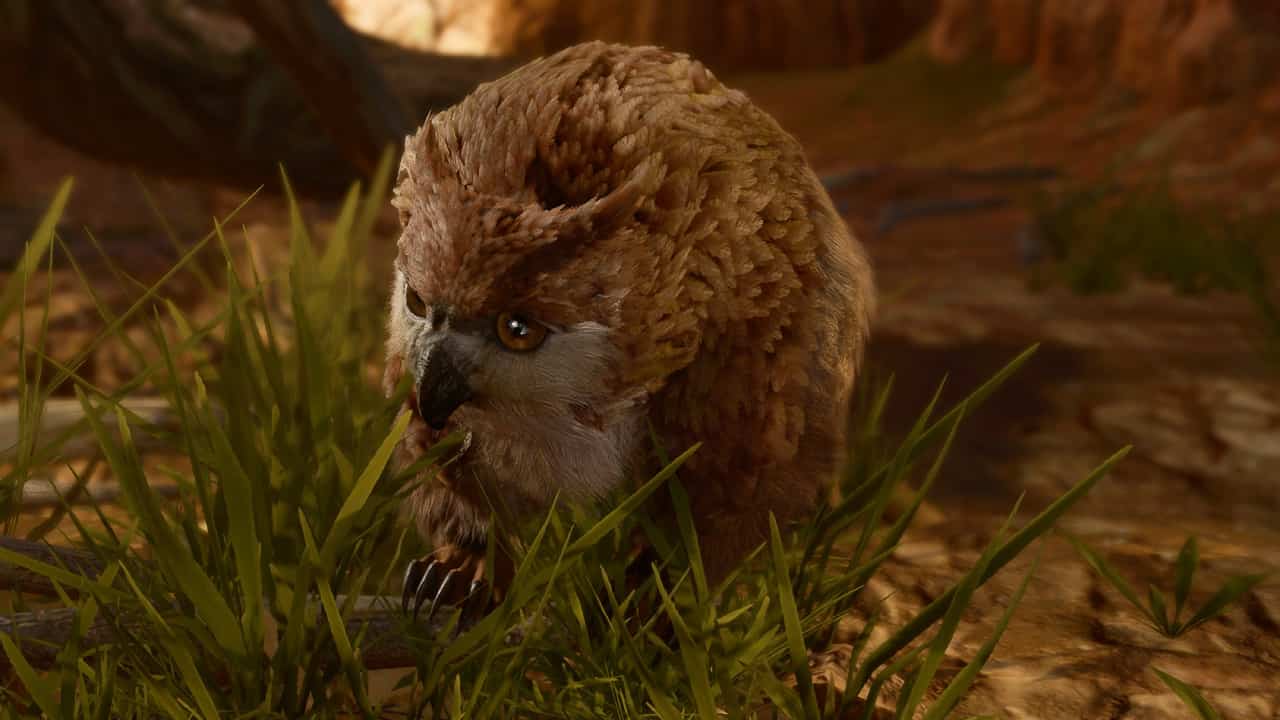 How to get the owlbear cub in Baldur's Gate 3 and can you add him to your party?