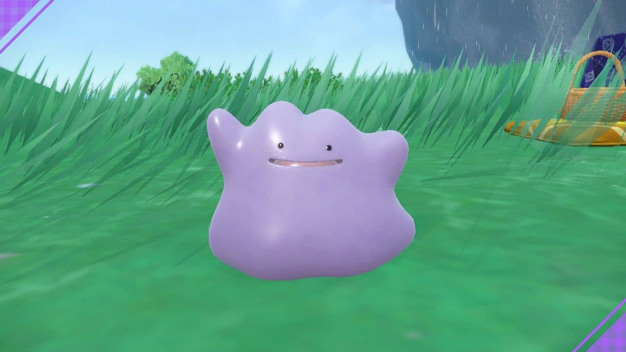 How to get foreign Ditto in Pokémon Scarlet and Violet