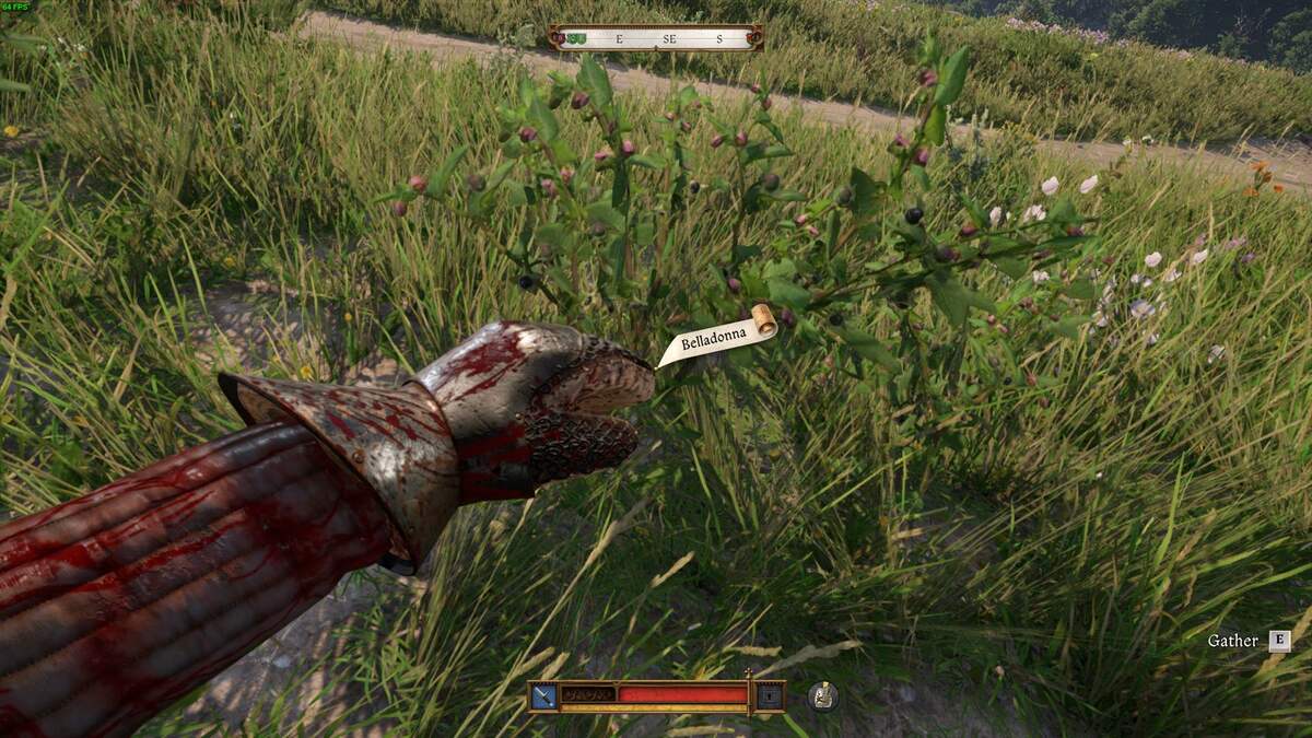 Where to find Belladonna in Kingdom Come Deliverance 2