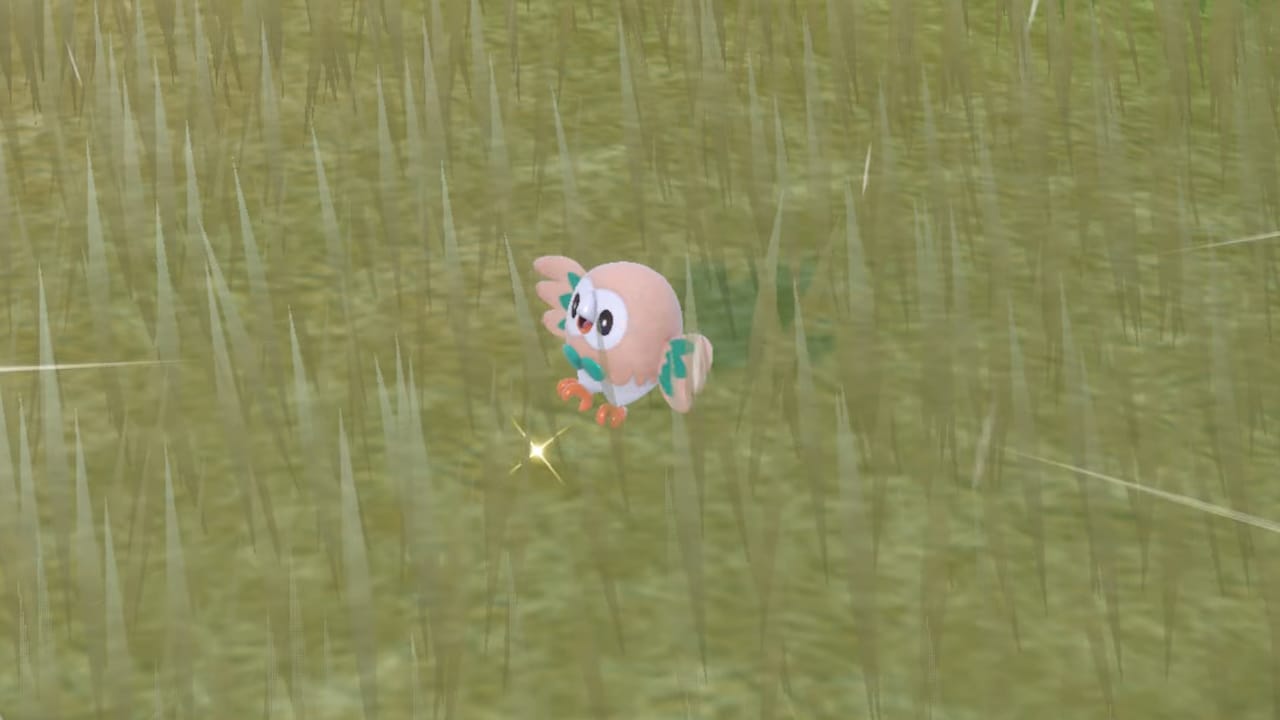 Pokémon Indigo Disk Rowlet location - how to catch and evolve Rowlet