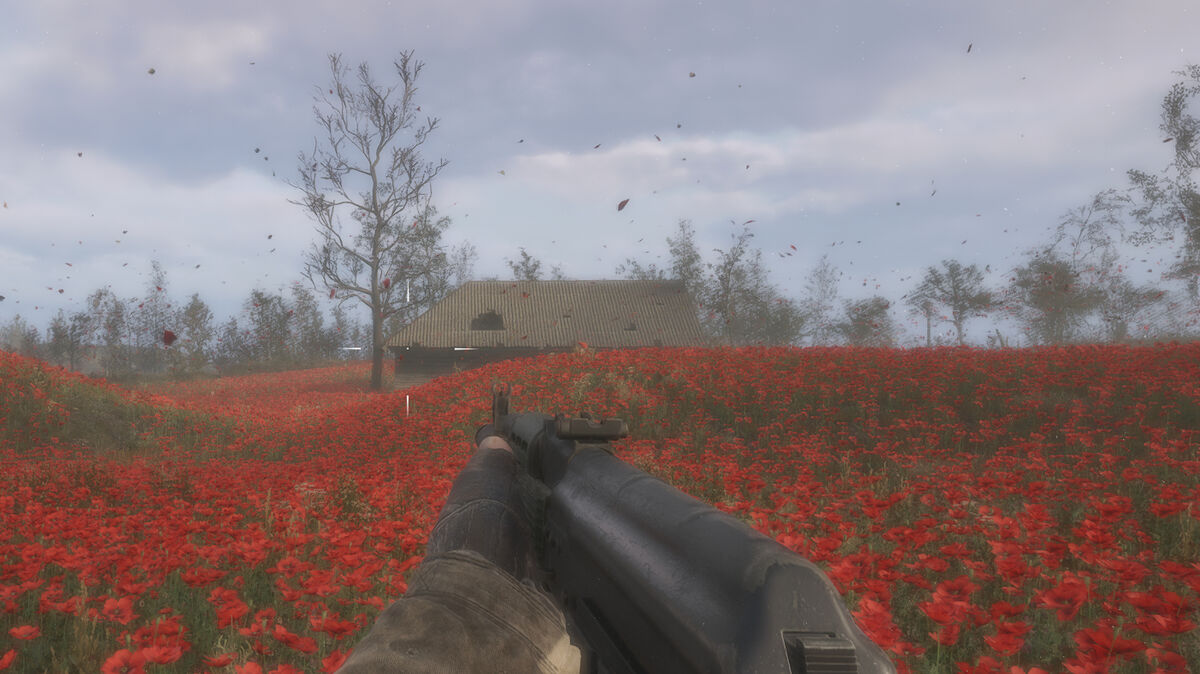 Stalker 2 The Poppy Field walkthrough - should you give the icon to Mityay or Pomor?