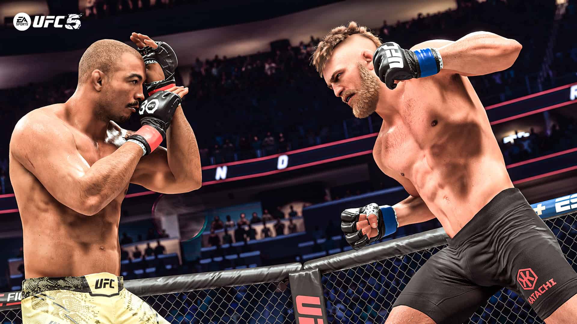 UFC 5 - How to block
