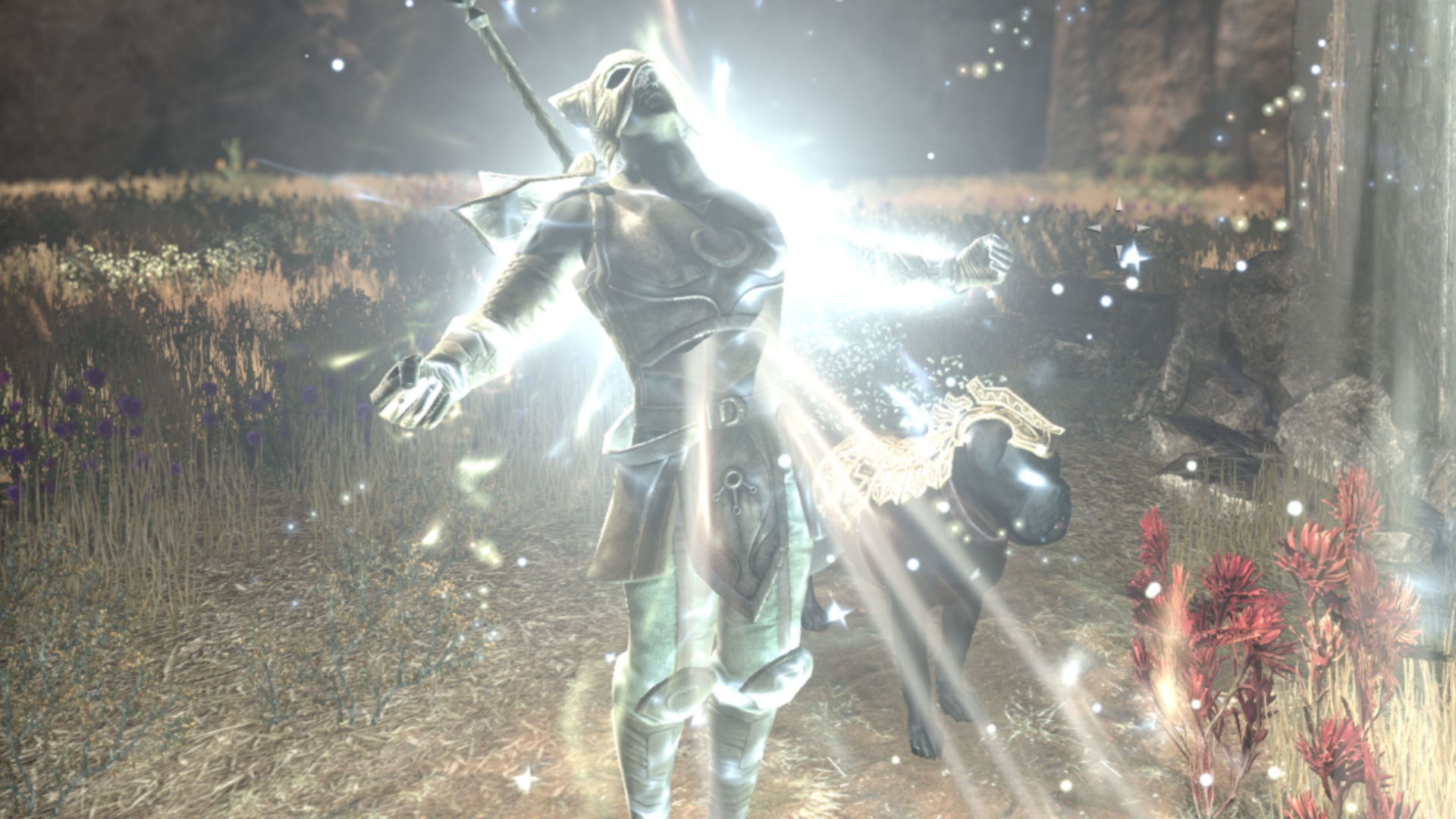 ESO Elsweyr Skyshards locations: where to grab easy skill points in the Khajiiti homeland