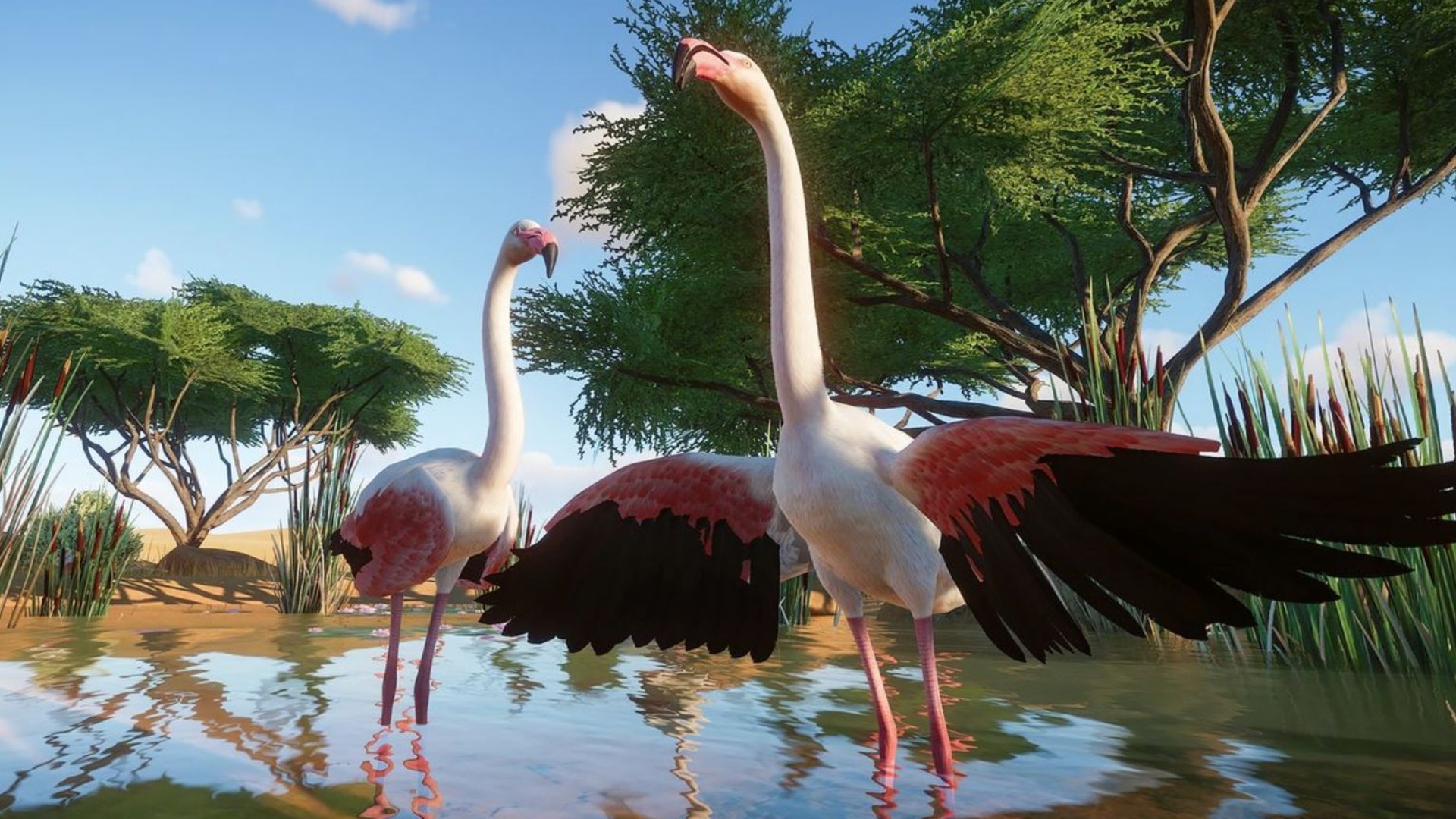 Planet Zoo animals: feeding, breeding, and managing stress