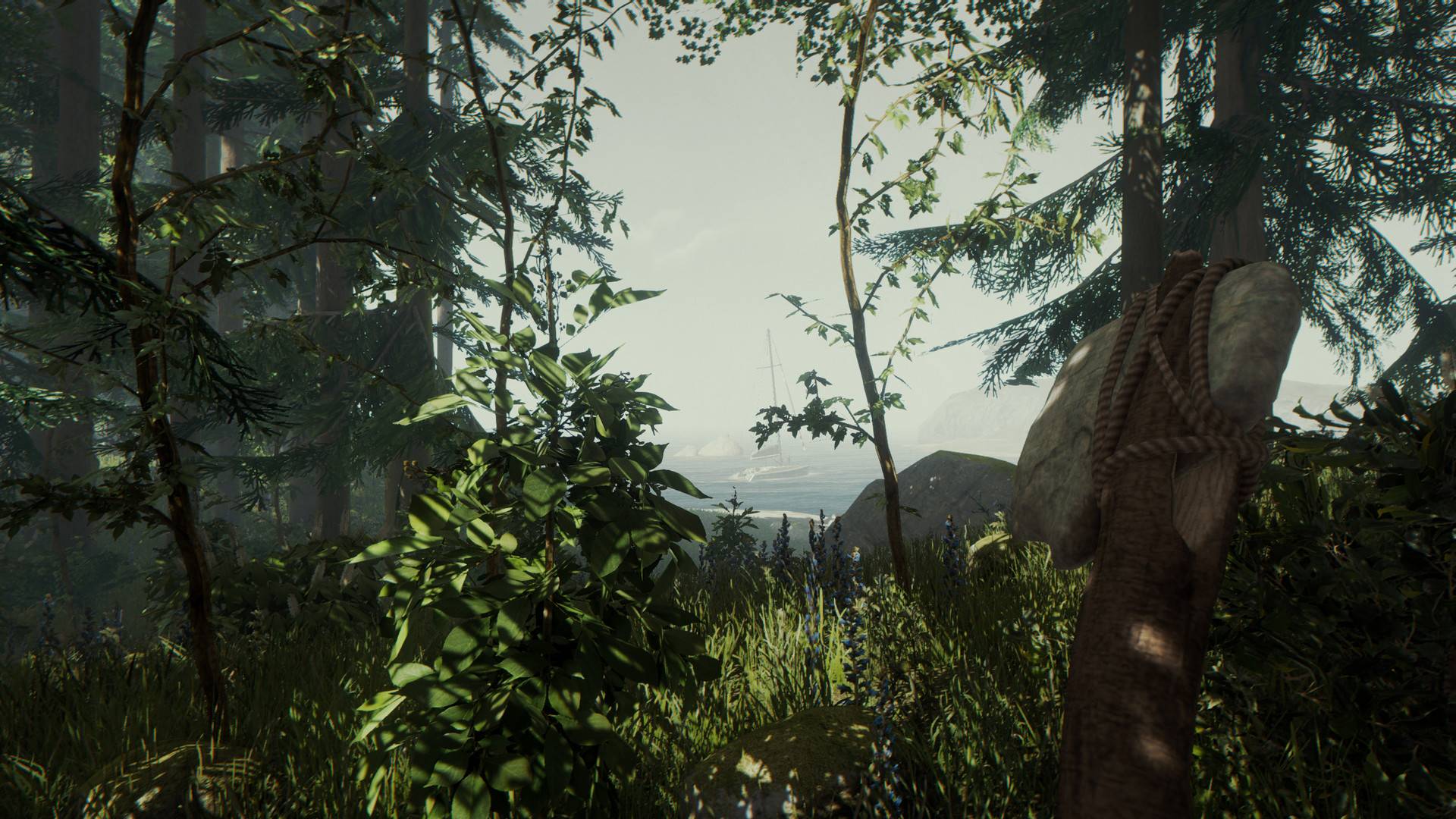 The best The Forest mods