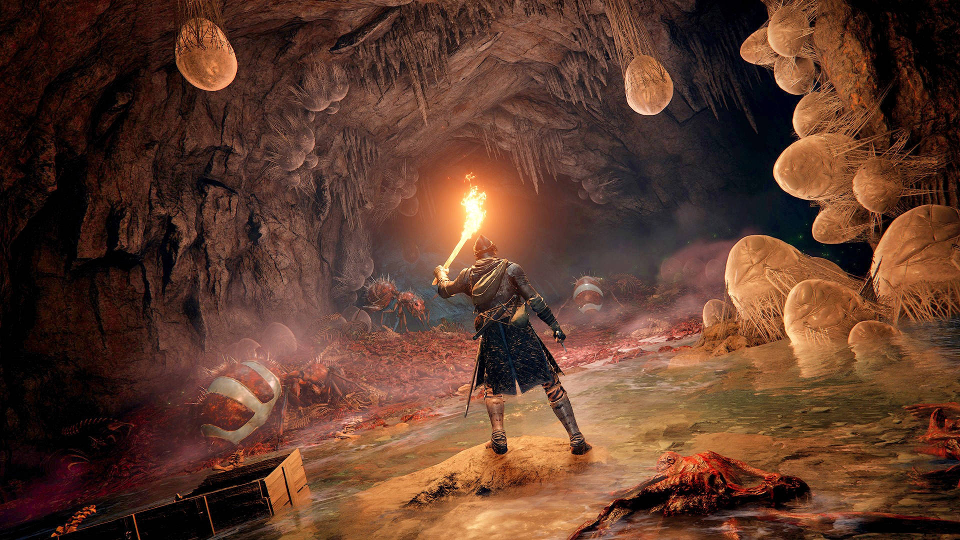 Elden Ring dungeon locations