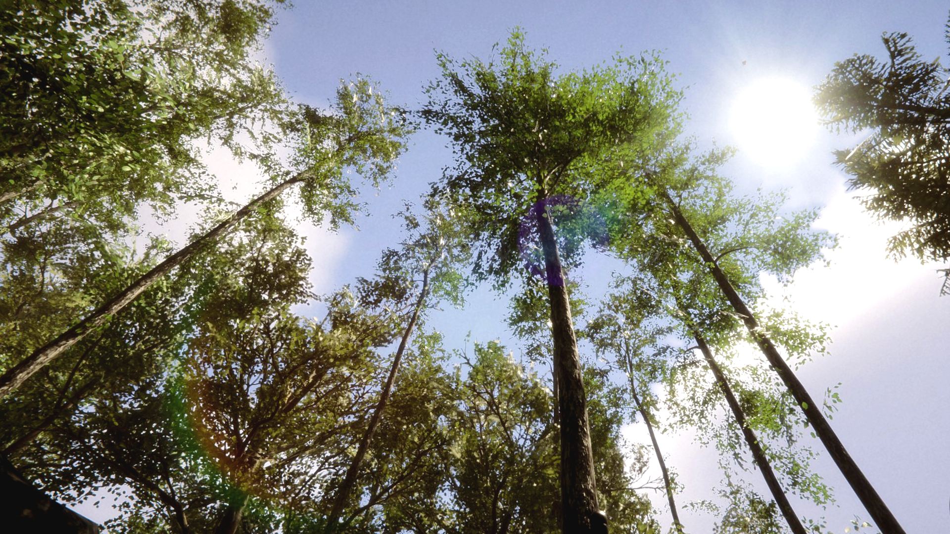 Do Sons of the Forest trees grow back?