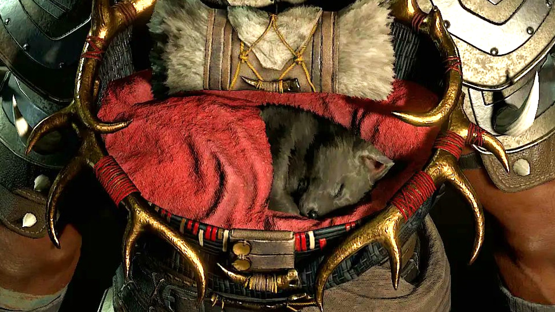 How to get the Diablo 4 wolf pup