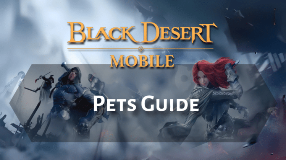 Black Desert Online Pets Guide