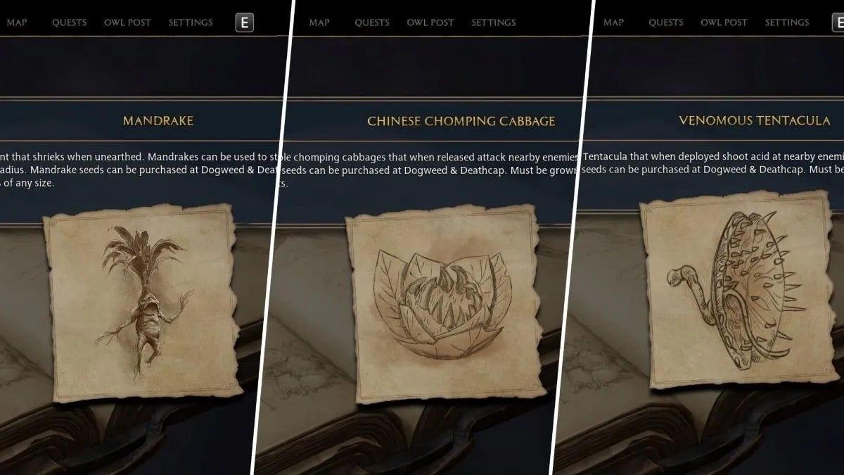 Hogwarts Legacy: How to Use Combat Plants Simultaneously