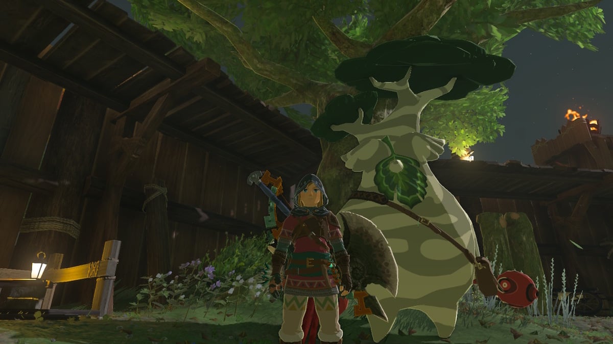 Zelda: Tears of the Kingdom — Where to Find Hestu in TotK
