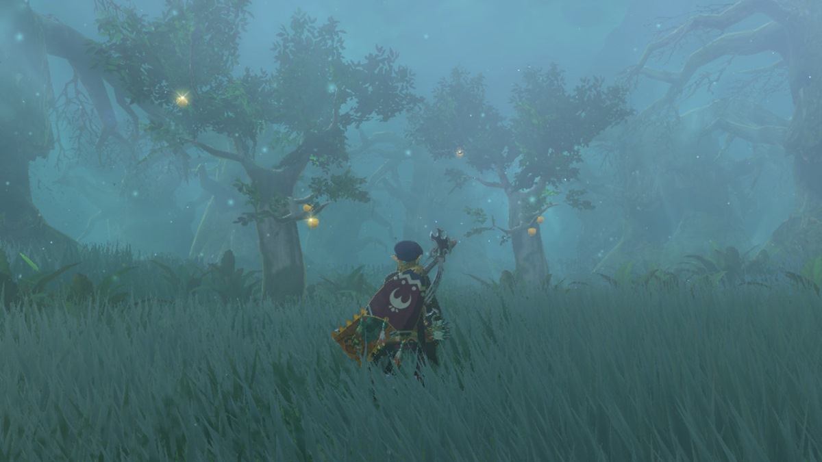 Zelda: Tears of the Kingdom (TotK) — A Pretty Stone and Golden Apples Shrine Guide