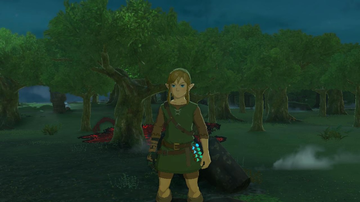 Zelda: Tears of the Kingdom (TotK) — How to Get Hero of the Wild Set