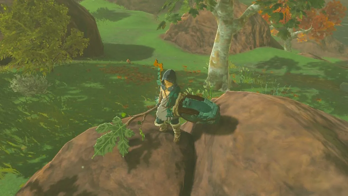 Zelda: Tears of the Kingdom — How to Make Korok Fans in TotK