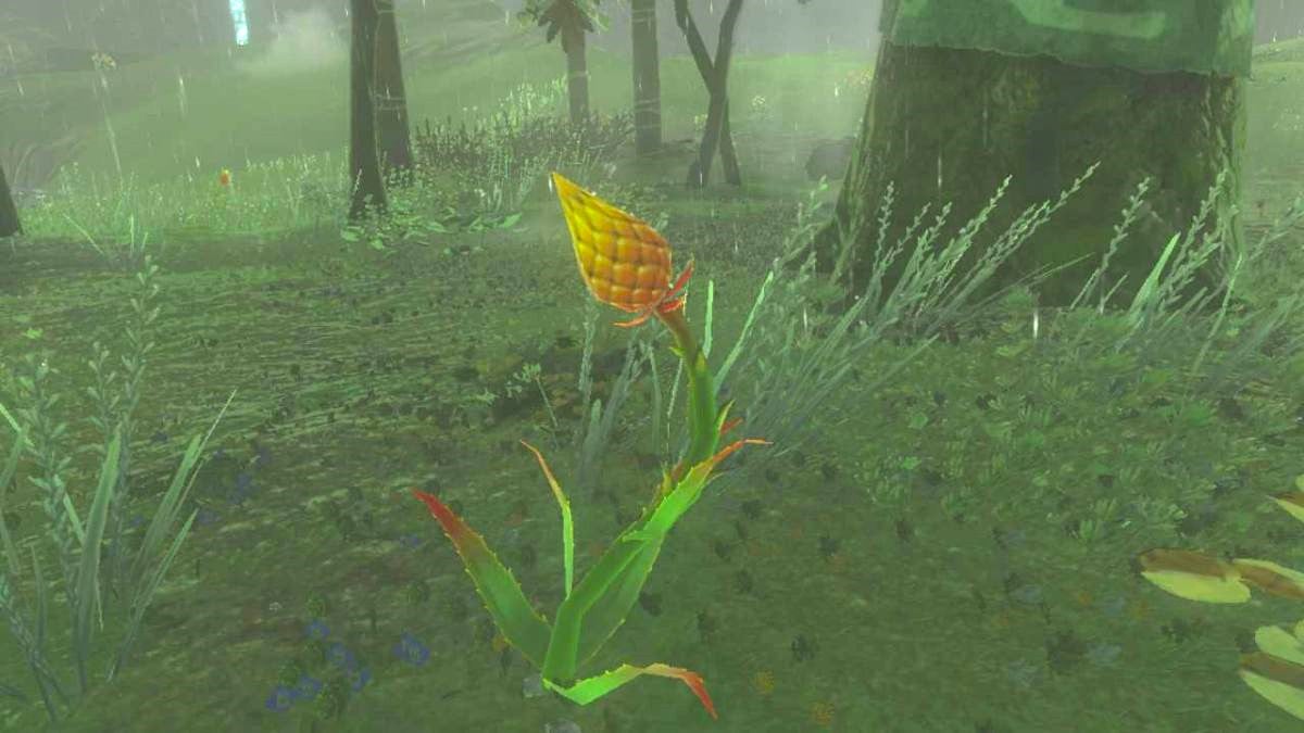 Zelda: Tears of the Kingdom — Where to Get Mighty Thistle in TotK