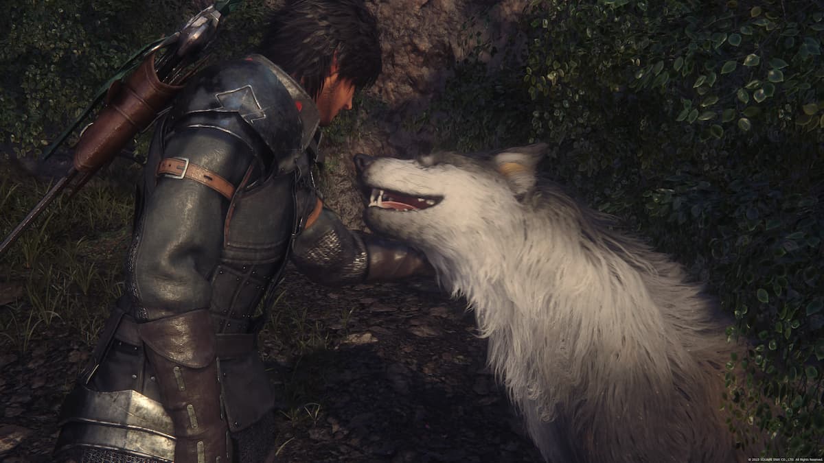 Final Fantasy 16: How to Pet Torgal