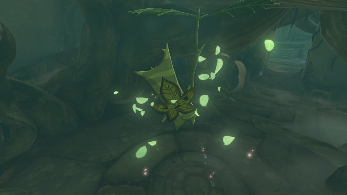 Zelda: Tears of the Kingdom — All Great Sky Island Korok Seed Locations in TotK