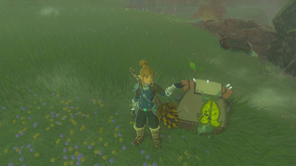 Zelda: Tears of the Kingdom - All Akkala Korok Seed Locations