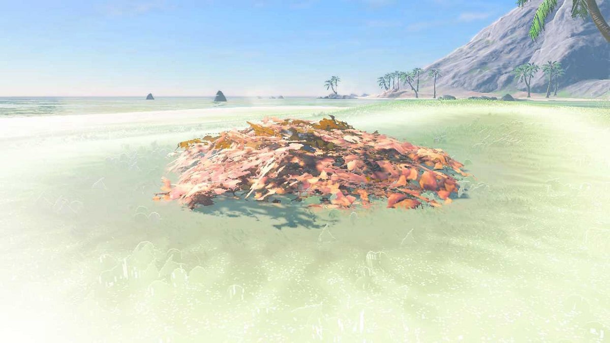 Zelda: Tears of the Kingdom - All East Necluda Seed Locations