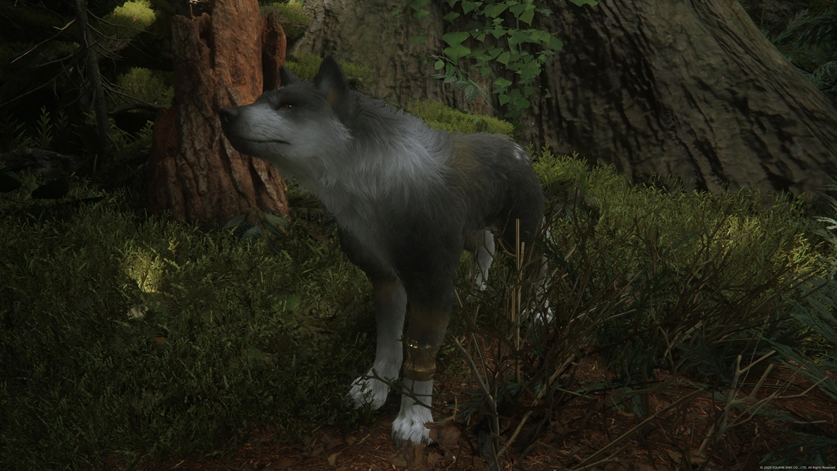 Final Fantasy 16: How to Get and Use Torgal the Dog
