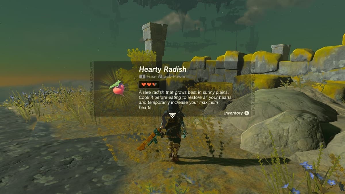 Zelda: Tears of the Kingdom — How to Get Hearty Radish