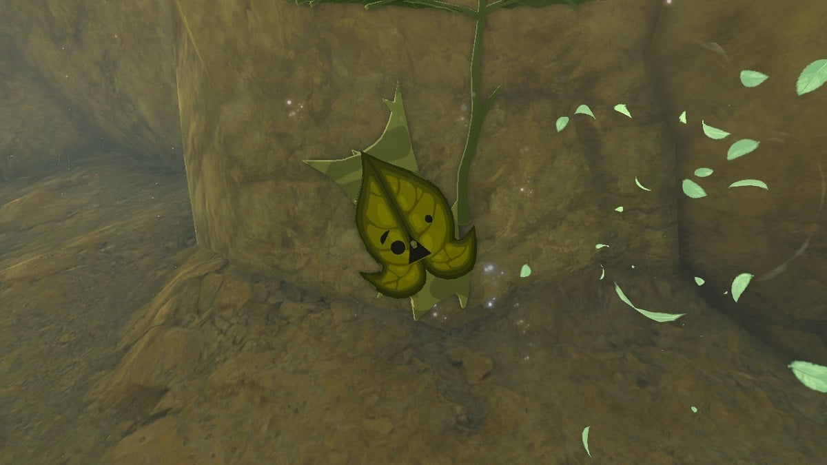 Zelda: Tears of the Kingdom - All Tabantha Frontier Seed Locations