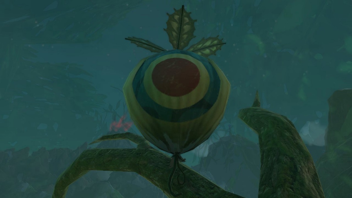 Zelda: Tears of the Kingdom - All West Necluda and Lanayru Wetlands Korok Seed Locations