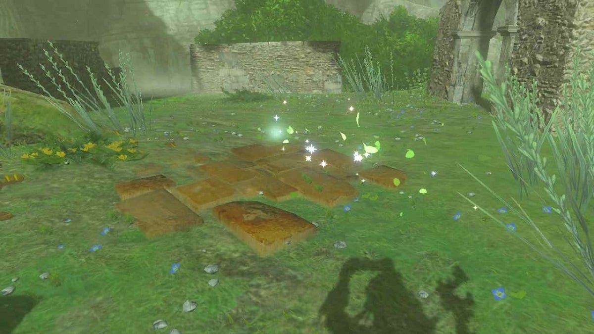 Zelda: Tears of the Kingdom - All Mount Lanayru Seed Locations