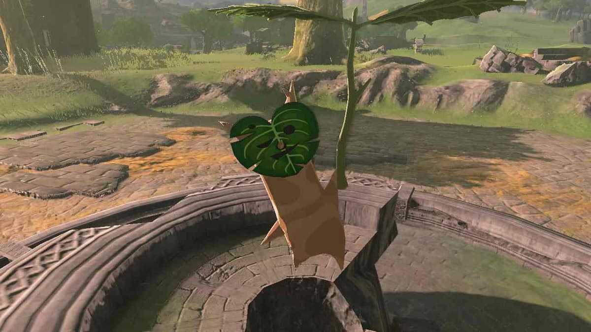 Zelda: Tears of the Kingdom - All North Hyrule Field Seed Locations