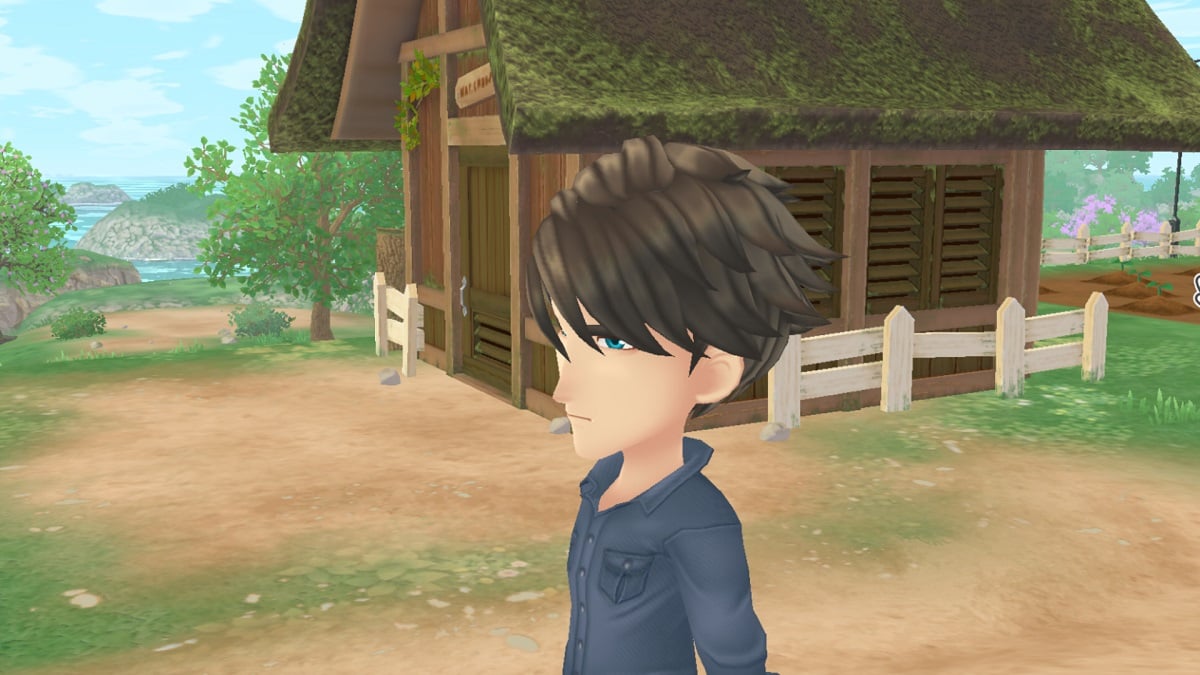 Story of Seasons: A Wonderful Life Bachelor Romance Guide