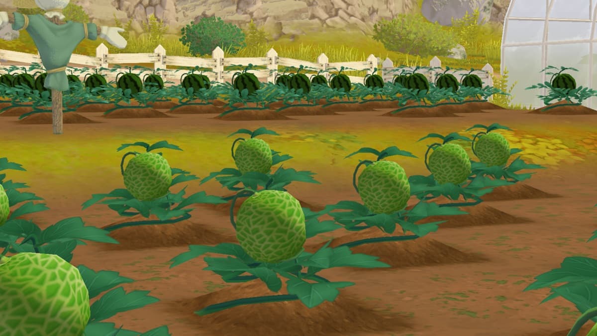 Story of Seasons: A Wonderful Life Farming Guide