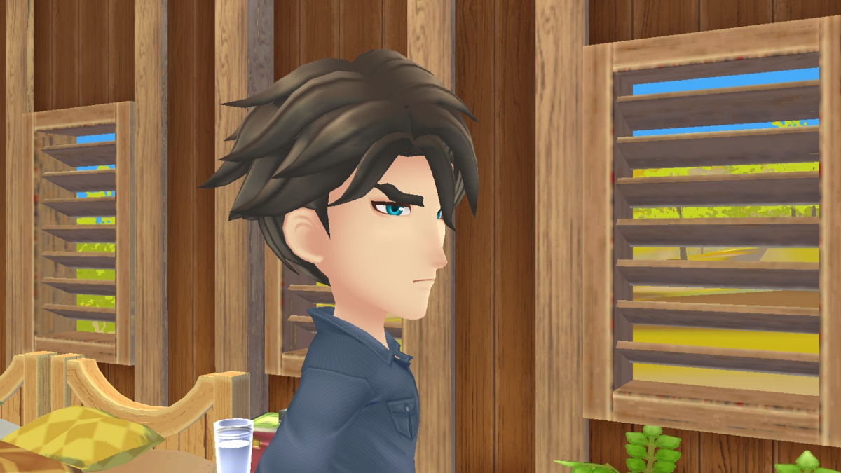 How to Marry Matthew in Story of Seasons: A Wonderful Life