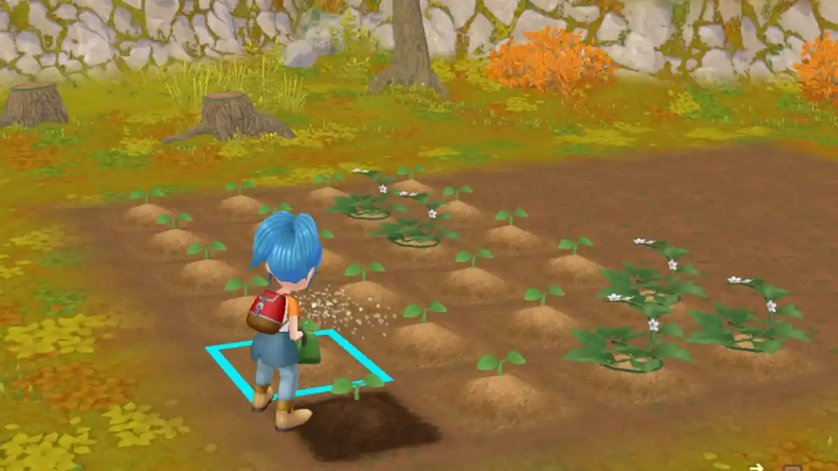 SoS: A Wonderful Life All Crops Guide