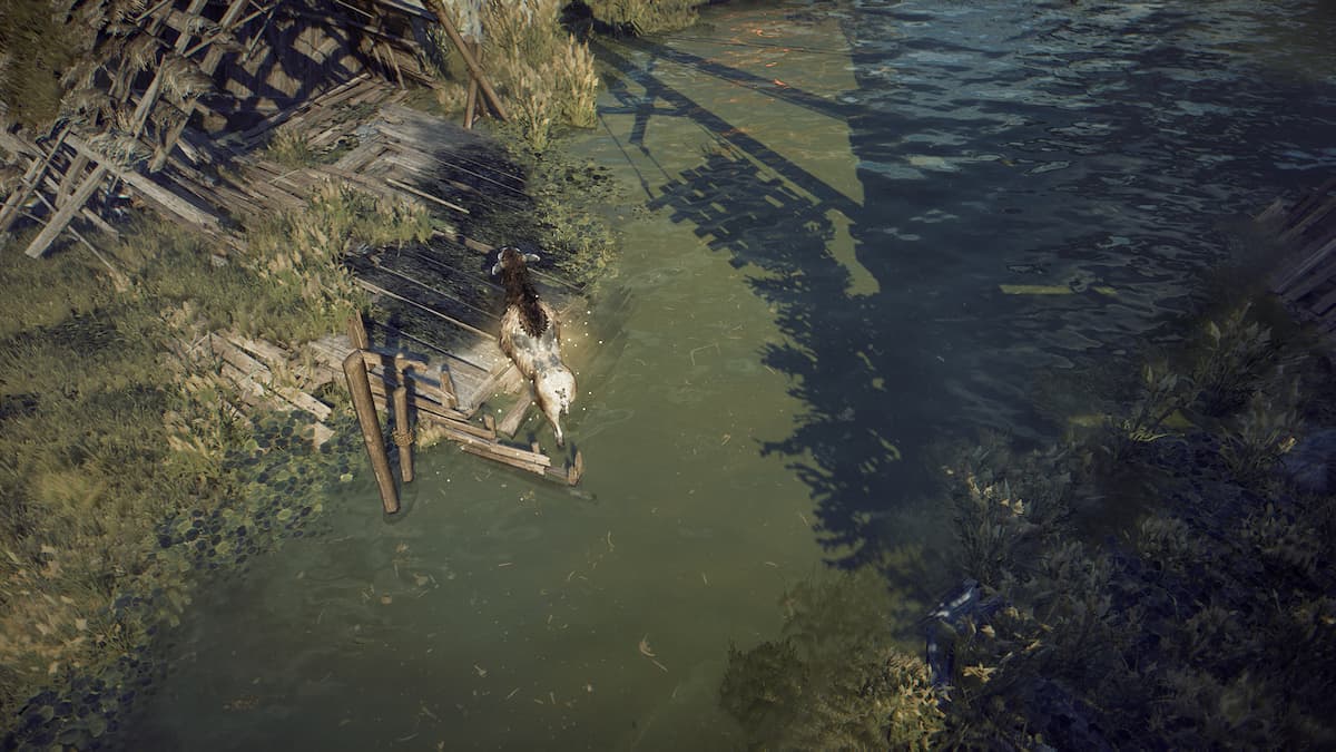 Atlas Fallen: How to Find Treasure in Wildlife Habitats