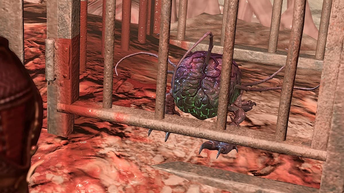 Baldur's Gate 3: How to Rescue Us