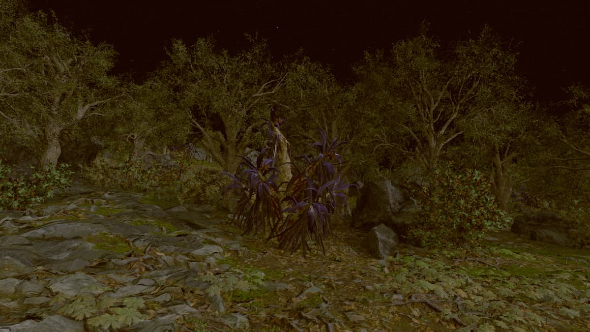 Starfield: Where to Farm for Adhesive