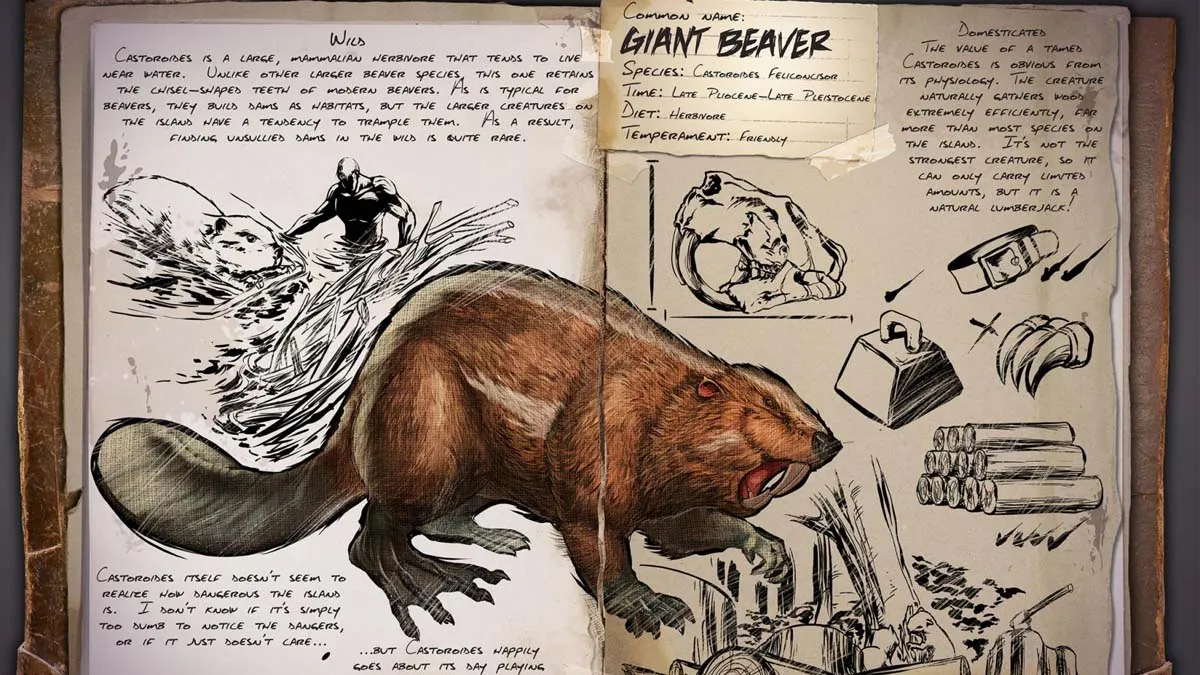 Ark Survival Ascended: All Great Beaver Dam Locations