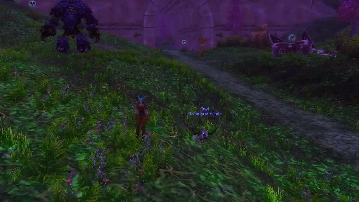 WoW Classic: How to Feed Your Pet as a Hunter in Season of Discovery and Hardcore