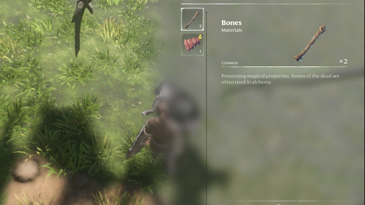 Enshrouded: How to Get More Bones Fast