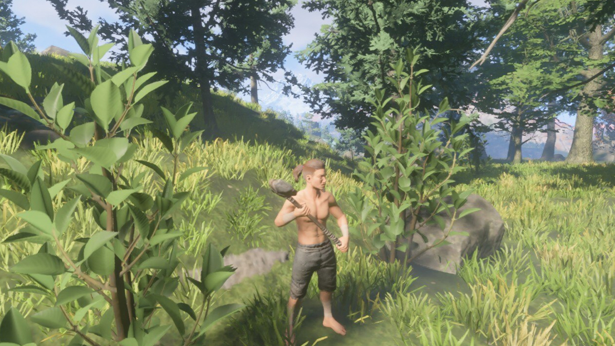 Enshrouded: How to Get More String Fast