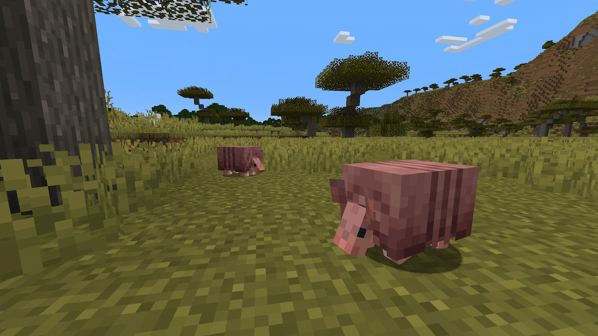 Minecraft Armadillo Comparison: What Does it Look Like Before and After Snapshot 24w03a?