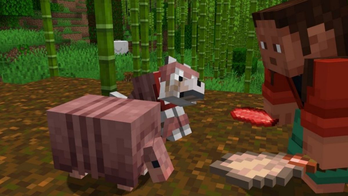 Minecraft Snapshot 24w03a Patch Notes: Armadillo Makeover and Spawn Chunk Changes