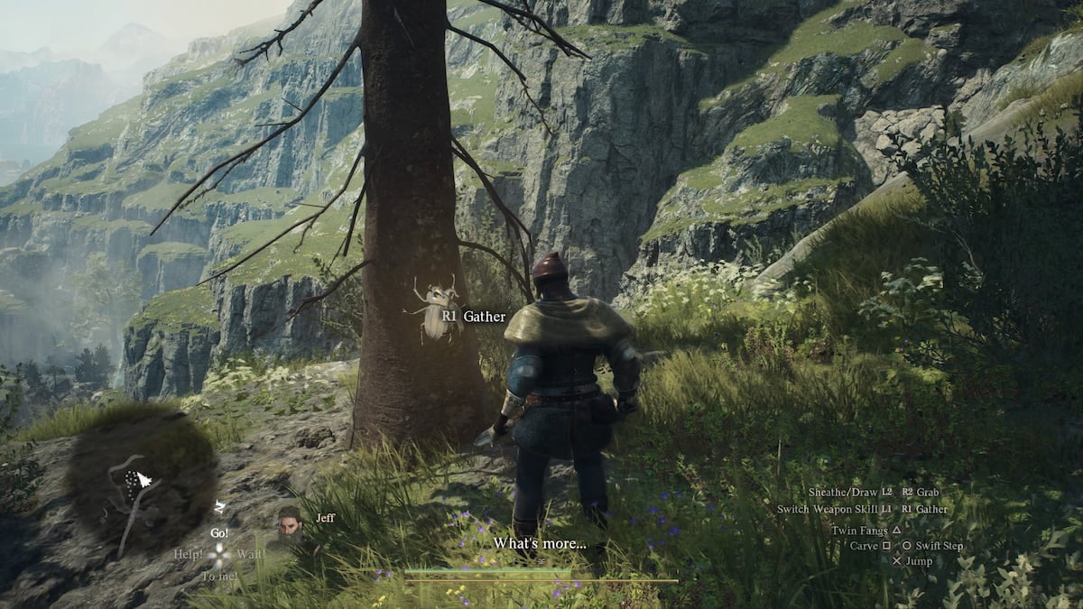 How to Increase Inventory Size in Dragon's Dogma 2
