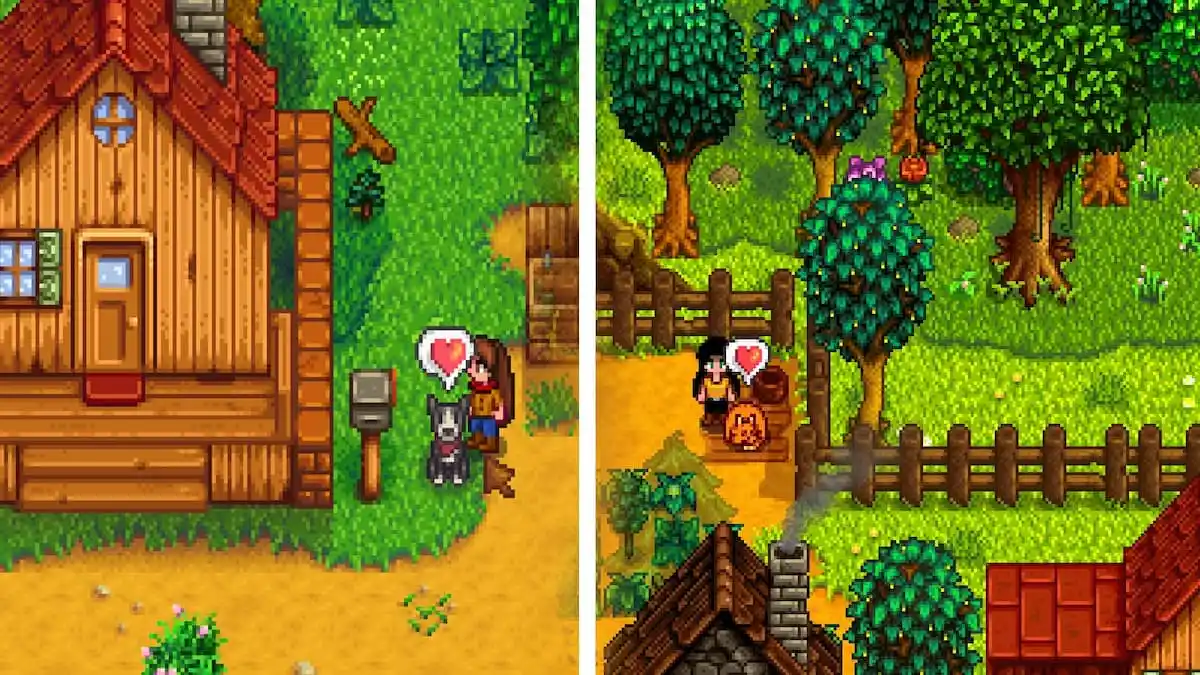 How to Get Multiple Pets in Stardew Valley 1.6