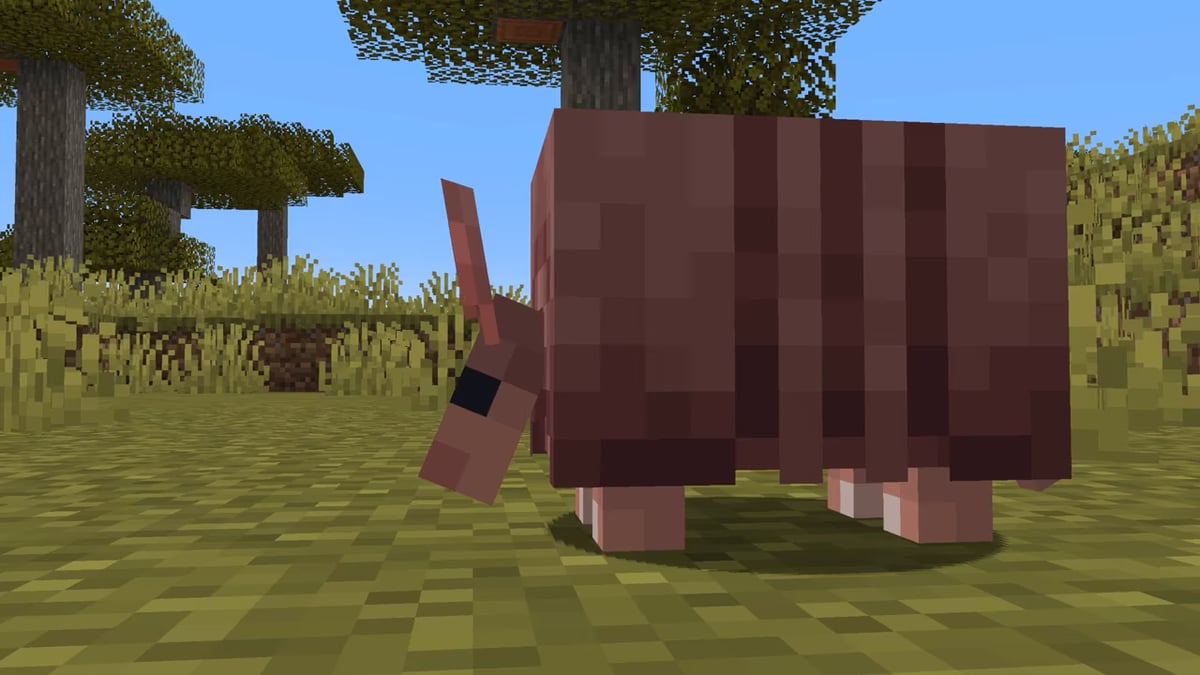 Where do Armadillos Spawn in Minecraft?